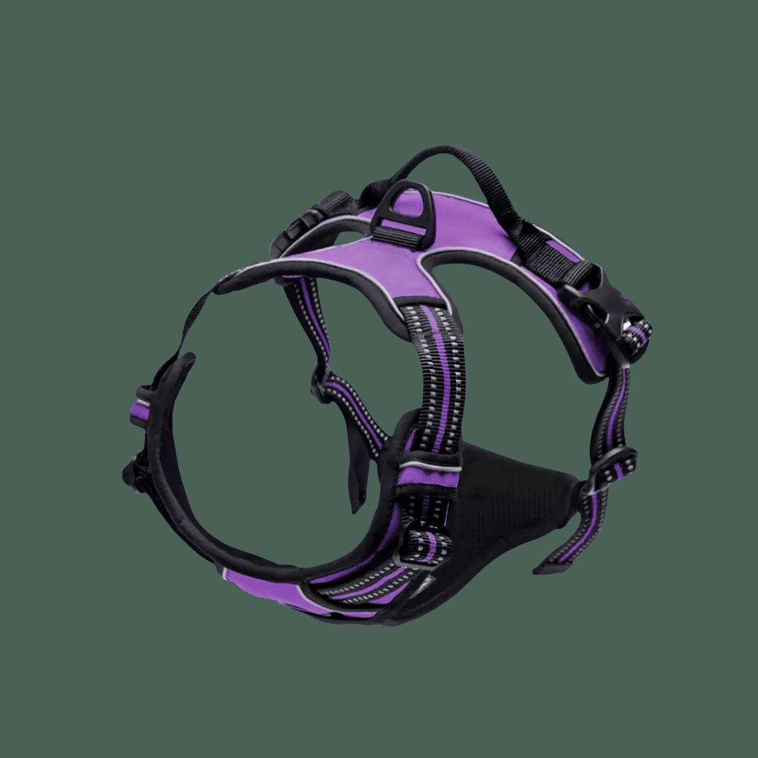SafeWalk Pro — Premium Hundegeschirr ohne Ziehen mit Reflektoren
