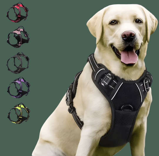 SafeWalk Pro — Premium Hundegeschirr ohne Ziehen mit Reflektoren