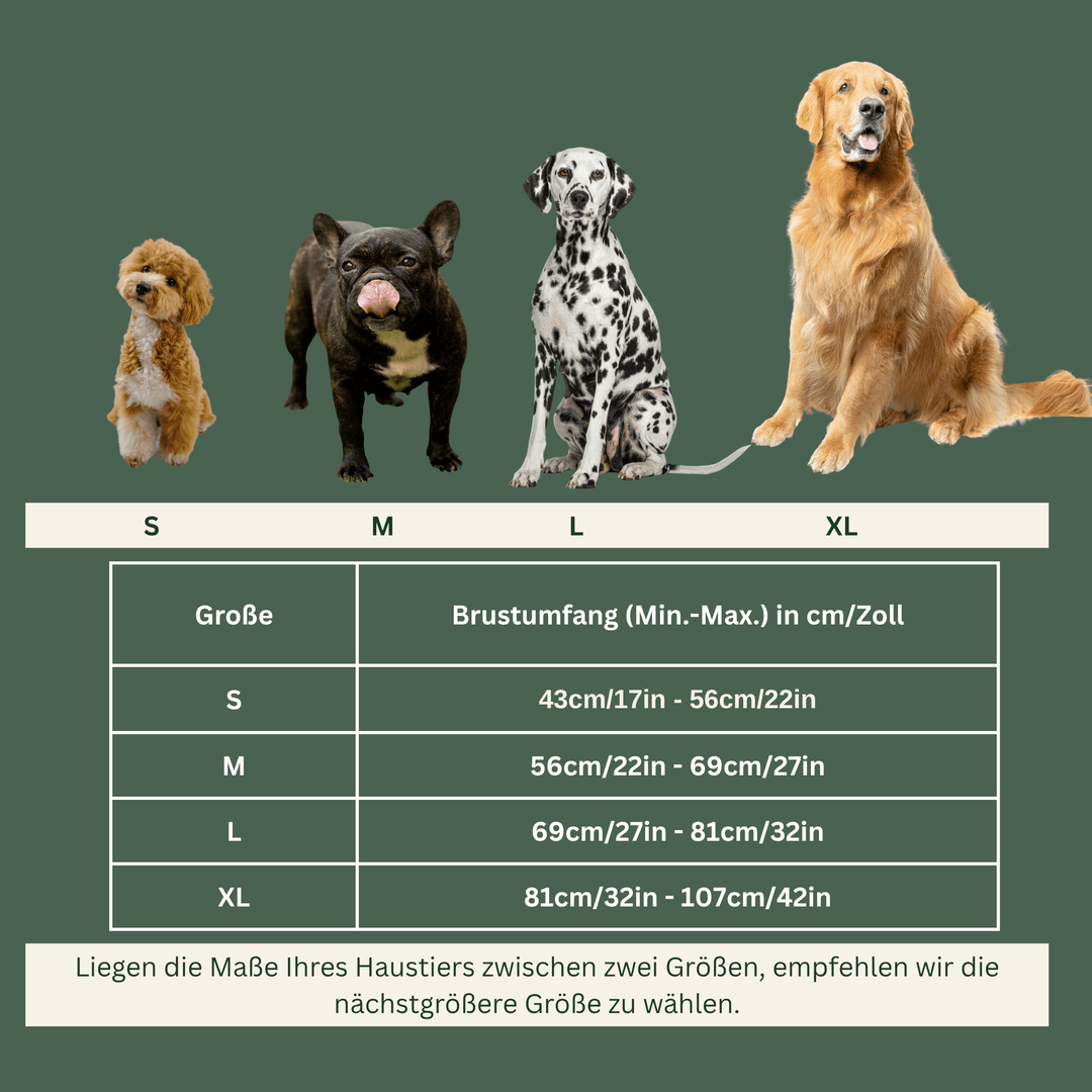 SafeWalk Pro — Premium Hundegeschirr ohne Ziehen mit Reflektoren